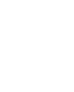 Moorgen - Swarovski Logo