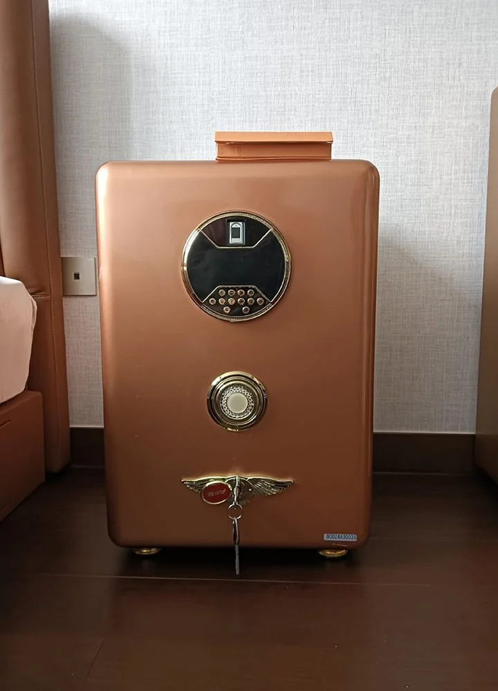 Luxury Anti Theft Safe